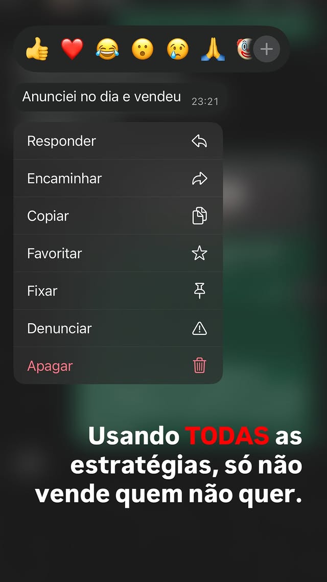 550338446_18367574587153190_3235570286904798179_n